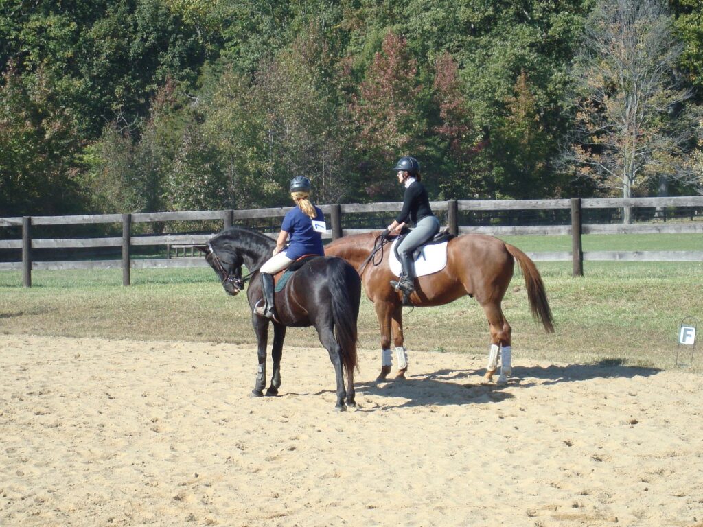 MF05: The Stables at Meadowood - A Slice of Heaven on Earth - NoVA Barn Mom